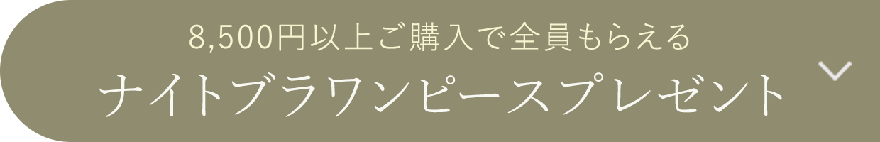 ナイトブラワンピースプレゼント